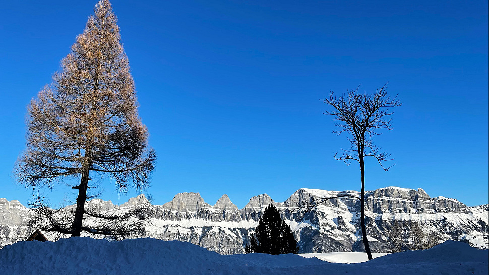 Winterwanderungen in der Ostschweiz